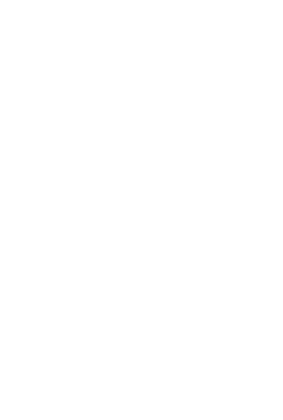 Decorative Arrow